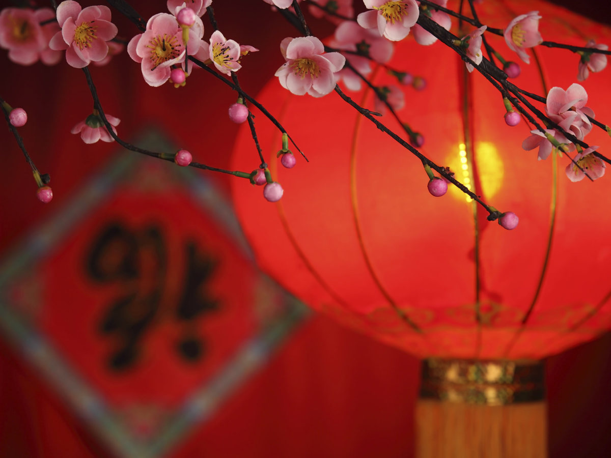 Expats genießen das chinesische Neujahr in Xiamen